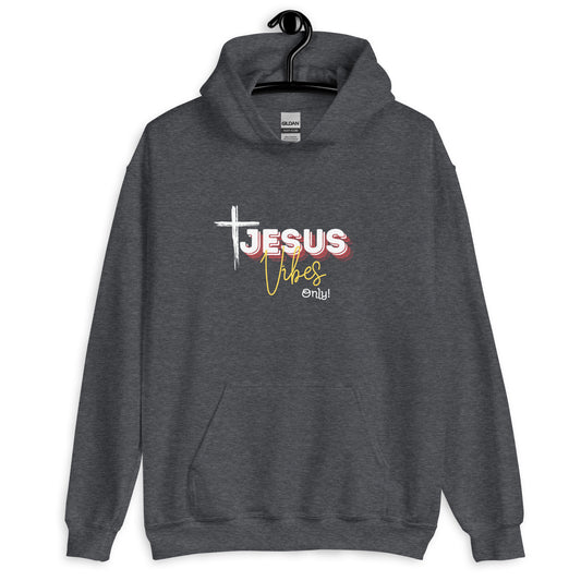 UnisexJesus Vibes  Hoodie